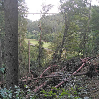 Im städtischen Forstrevier Weisshauswald sind unter anderem auf dem Kauffmannsweg in Richtung Lorig mehrere Bäume durch das Unwetter umgestürzt. Foto: Forstrevier Weisshaus